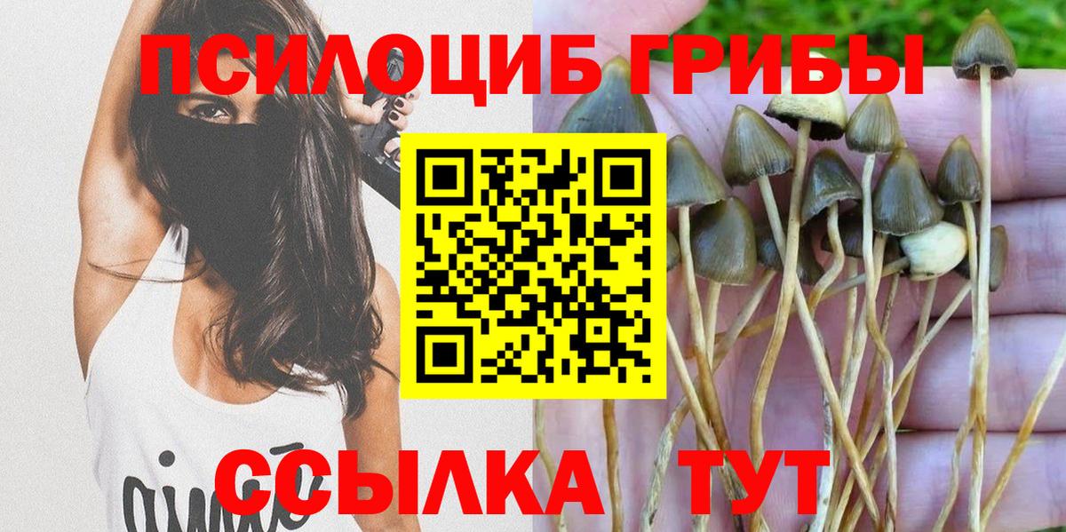 Березники  Галлюциногенные грибы Psilocybe  Вход с VPN  Галлюциногенные грибы ЛСД 